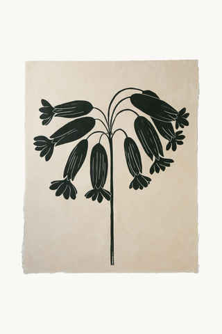 *Special* Cowslip in Black