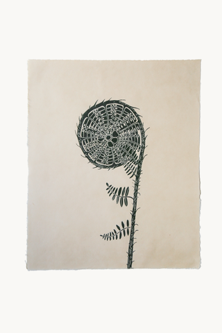 *Special*  Fiddlehead Fern in Black