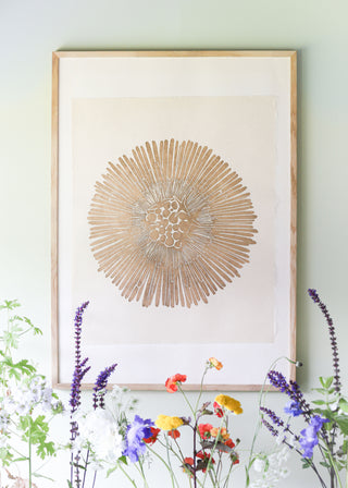 Gold Coltsfoot (Special)