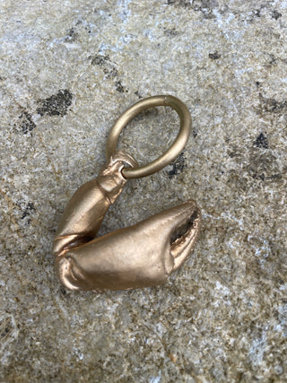 Crab Claw- Pocket Sculpture.