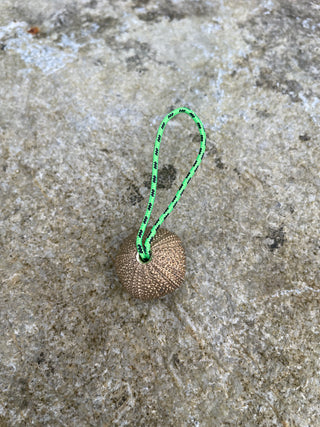 Sea Urchin Charm