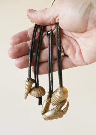 Pocket Sculpture - Bundle of 4 Shells