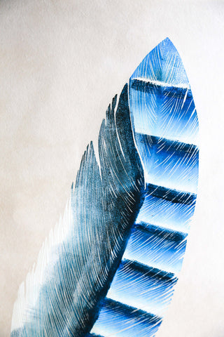 Jay Feather