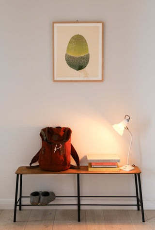 Acorn