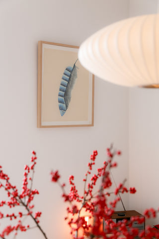 Jay Feather