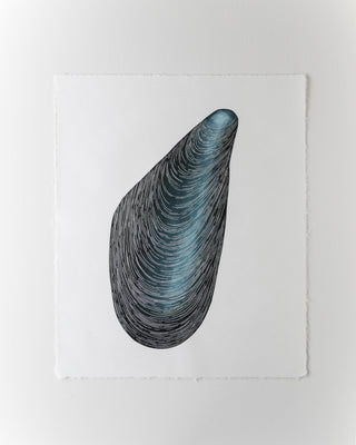 Mussel Shell Print (Archived)