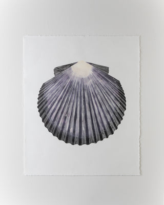 Scallop Print