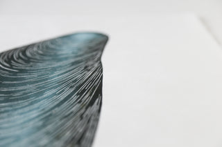 Mussel Shell Print (Archived)