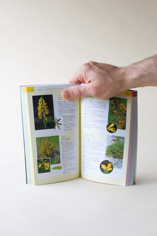 The Wildflowers of Ireland - a field guide by Zoe Devlin
