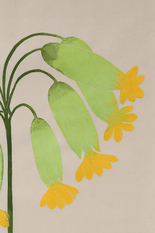 Cowslip