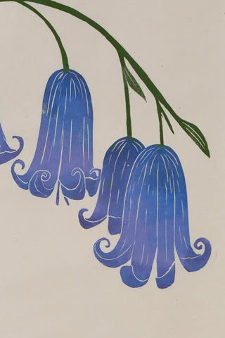 Bluebell