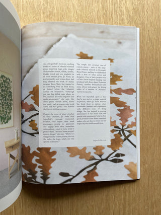 Lodestars Anthology: Irish Edition