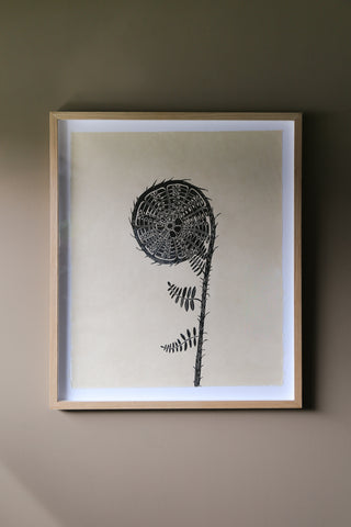 *Special*  Fiddlehead Fern in Black