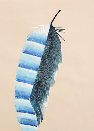 Jay Feather