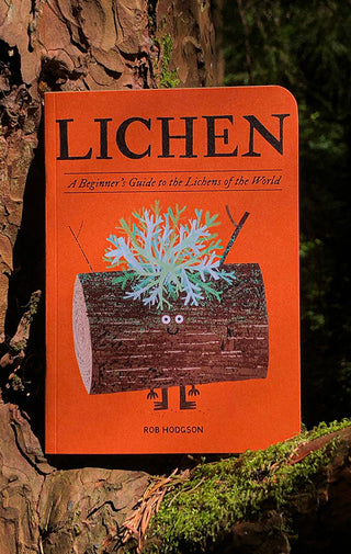 Lichen by Rob Hodgson