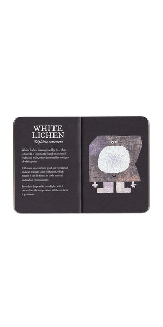 Lichen by Rob Hodgson