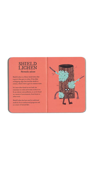 Lichen by Rob Hodgson