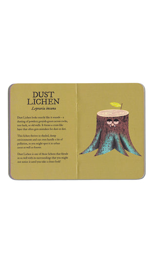 Lichen by Rob Hodgson