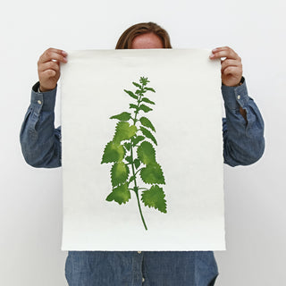 Nettle Print