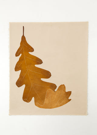 Oak Leaf