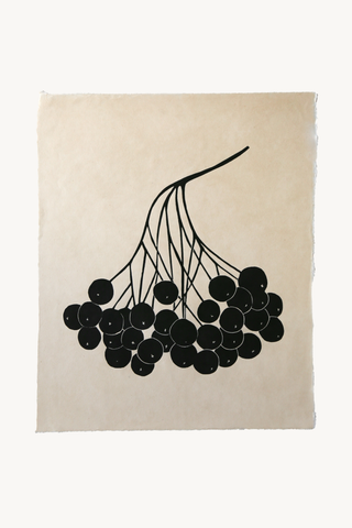 *Special* Rowan Berry in Black