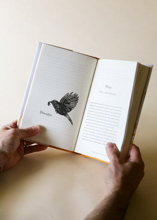 Through the Long Grass by Eoin Warner (pre-order)