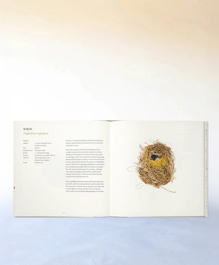 Nests by Susan Ogilvy (Hardback)