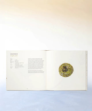 Nests by Susan Ogilvy (Hardback)