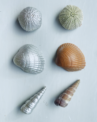 SAND CASTING - Seaside Souvenirs — Sunday 20 September, 10–11.30am