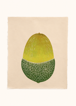 Acorn