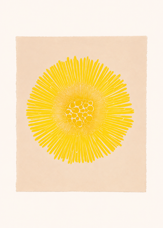 Coltsfoot Print