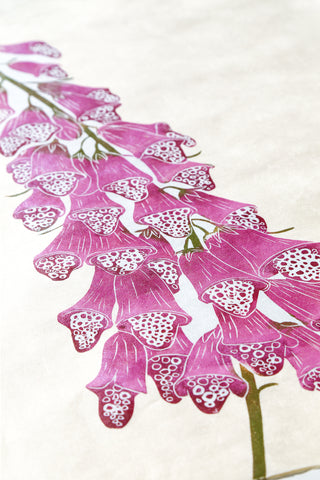 Foxglove - Wild