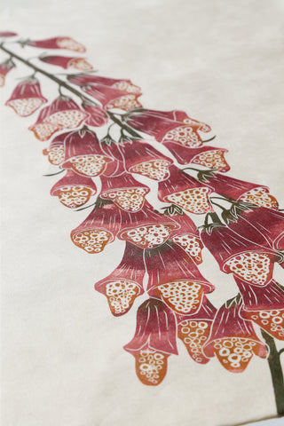 Foxglove - Cardinal