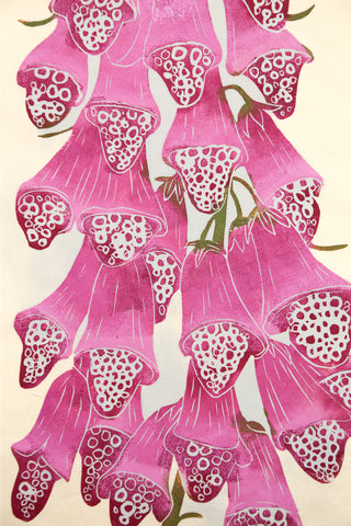 Foxglove - Wild