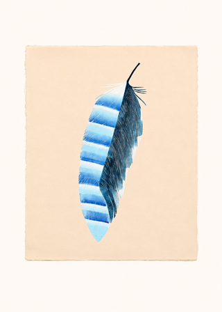 Jay Feather