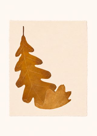 Oak Leaf