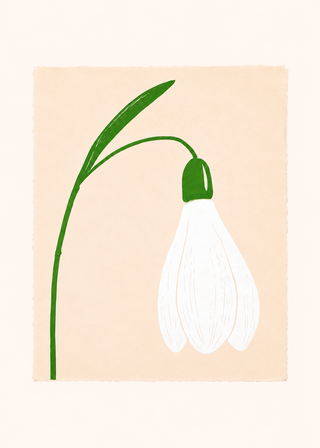 Snowdrop