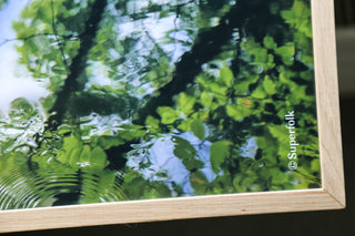 Summer Pond Photographic Print.