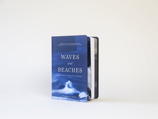 Waves and Beaches