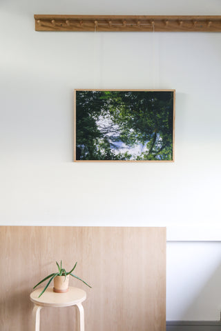 Summer Pond Photographic Print.