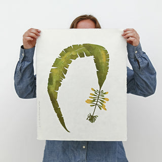 Atlantic Wakame Print