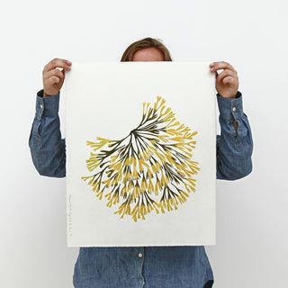 Channelled Wrack Print